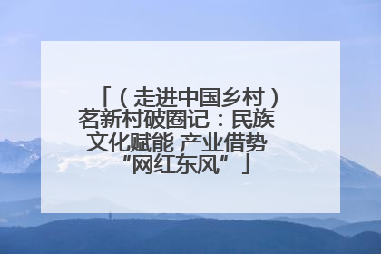 （走进中国乡村）茗新村破圈记：民族文化赋能 产业借势 “网红东风”