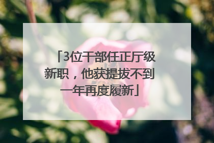 3位干部任正厅级新职，他获提拔不到一年再度履新