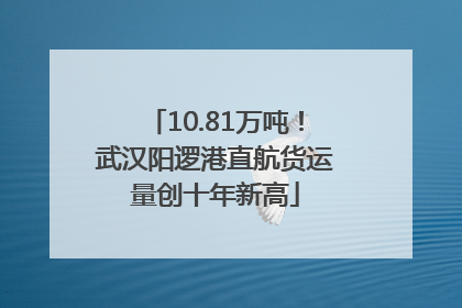10.81万吨！武汉阳逻港直航货运量创十年新高