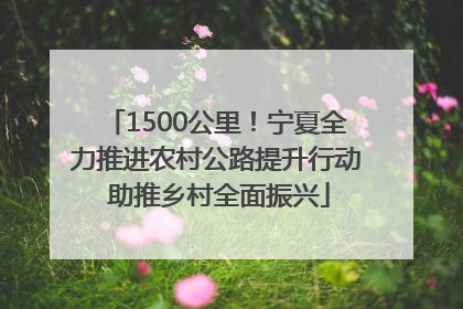 1500公里！宁夏全力推进农村公路提升行动 助推乡村全面振兴