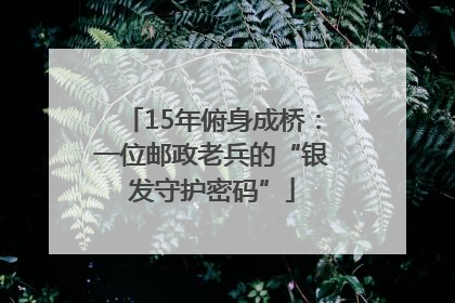 15年俯身成桥：一位邮政老兵的“银发守护密码”
