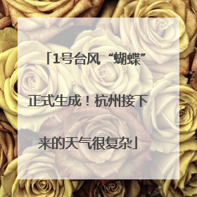 1号台风“蝴蝶”正式生成！杭州接下来的天气很复杂