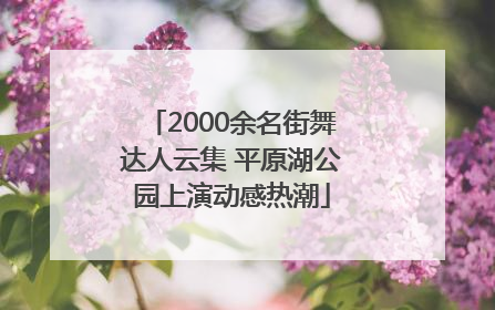 2000余名街舞达人云集 平原湖公园上演动感热潮