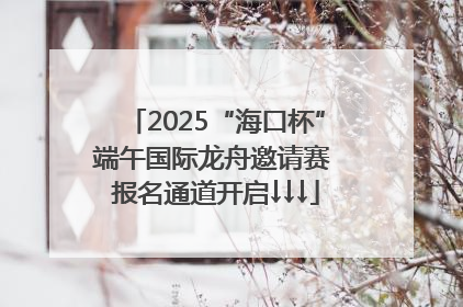 2025“海口杯”端午国际龙舟邀请赛 报名通道开启↓↓↓