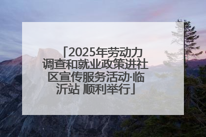2025年劳动力调查和就业政策进社区宣传服务活动·临沂站 顺利举行