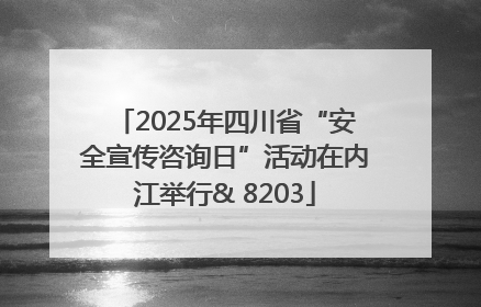 2025年四川省“安全宣传咨询日”活动在内江举行& 8203