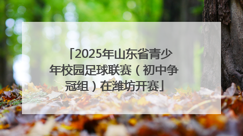 2025年山东省青少年校园足球联赛（初中争冠组）在潍坊开赛