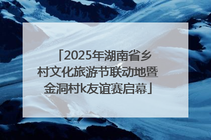 2025年湖南省乡村文化旅游节联动地暨金洞村k友谊赛启幕