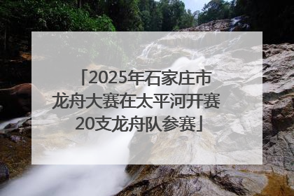 2025年石家庄市龙舟大赛在太平河开赛 20支龙舟队参赛
