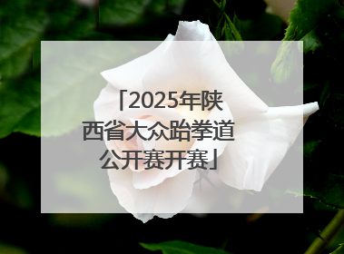 2025年陕西省大众跆拳道公开赛开赛