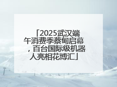 2025武汉端午消费季蔡甸启幕，百台国际级机器人亮相花博汇