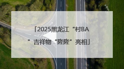 2025黑龙江“村BA”吉祥物“隆隆”亮相