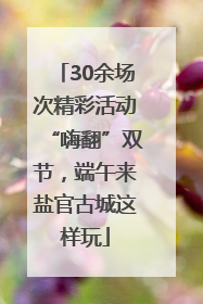 30余场次精彩活动“嗨翻”双节，端午来盐官古城这样玩