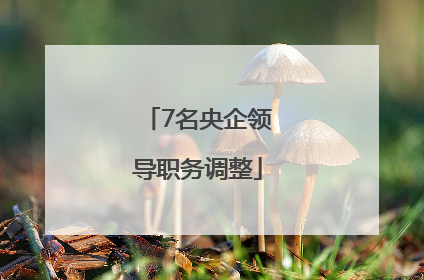 7名央企领导职务调整