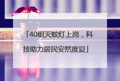 40组灭蚊灯上岗，科技助力居民安然度夏