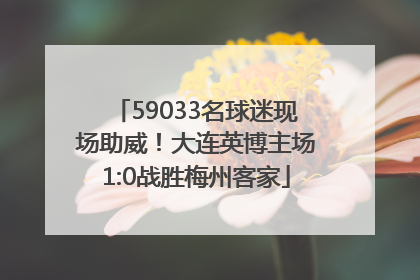 59033名球迷现场助威！大连英博主场1:0战胜梅州客家
