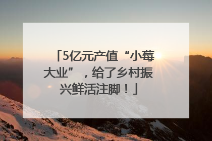 5亿元产值“小莓大业”，给了乡村振兴鲜活注脚！