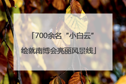 700余名“小白云”绘就南博会亮丽风景线
