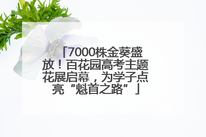 7000株金葵盛放！百花园高考主题花展启幕，为学子点亮“魁首之路”