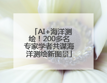 AI+海洋测绘！200多名专家学者共谋海洋测绘新图景