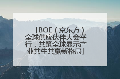 BOE（京东方）全球供应伙伴大会举行，共筑全球显示产业共生共赢新格局