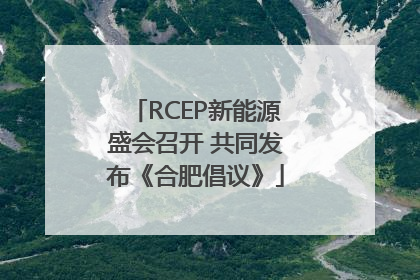 RCEP新能源盛会召开 共同发布《合肥倡议》